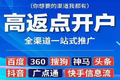 百度竞价数据分析：实战案例与优化策略