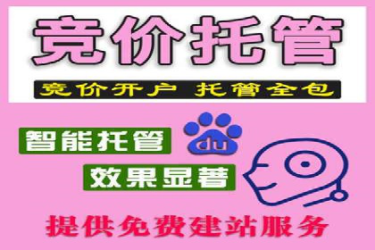 成功案例：SEM托管公司助力企业快速拓展市场